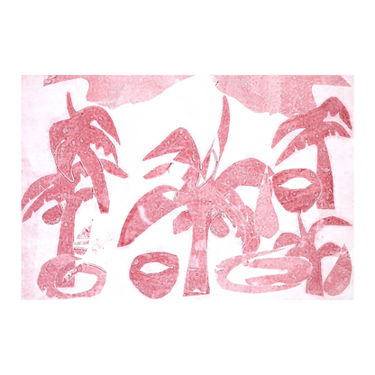 RITA KAITAP | 'Wakasu' | Monoprint on BFK Rives paper