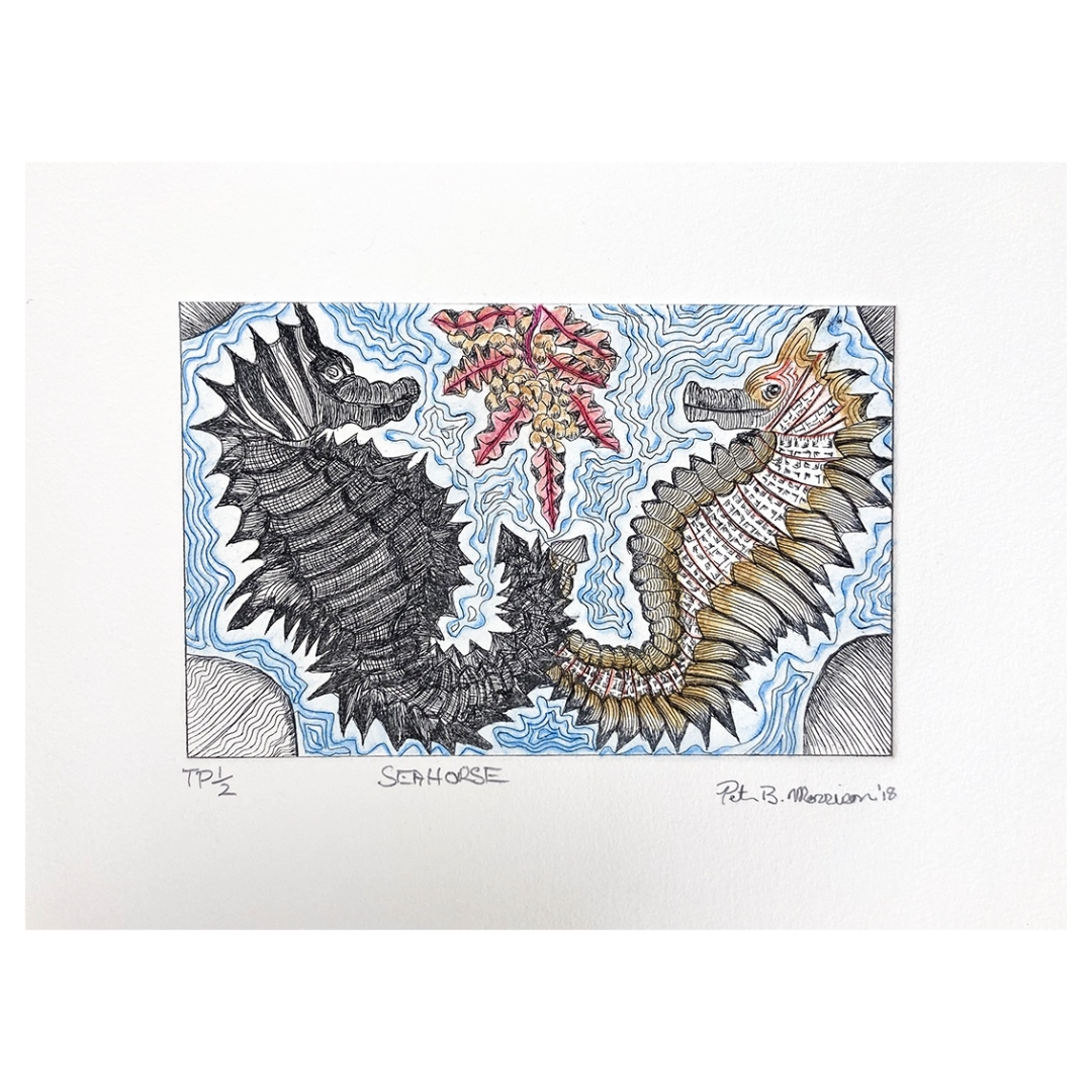 PETER MORRISON | 'Sea Horse' Etching