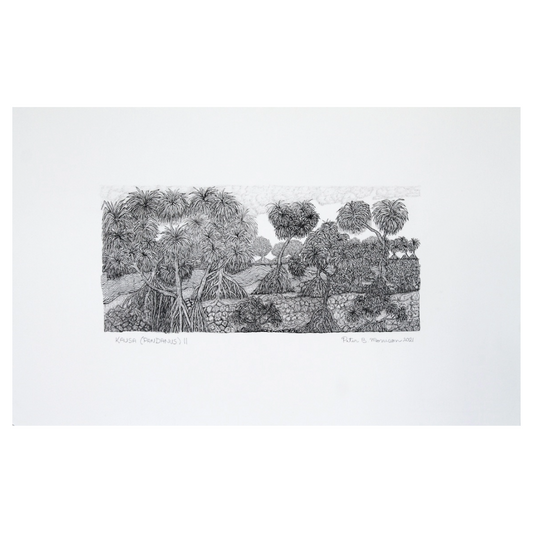 PETER B MORRISON | 'Kausa (Pandanus) II' Drawing | Pen and ink on archival paper