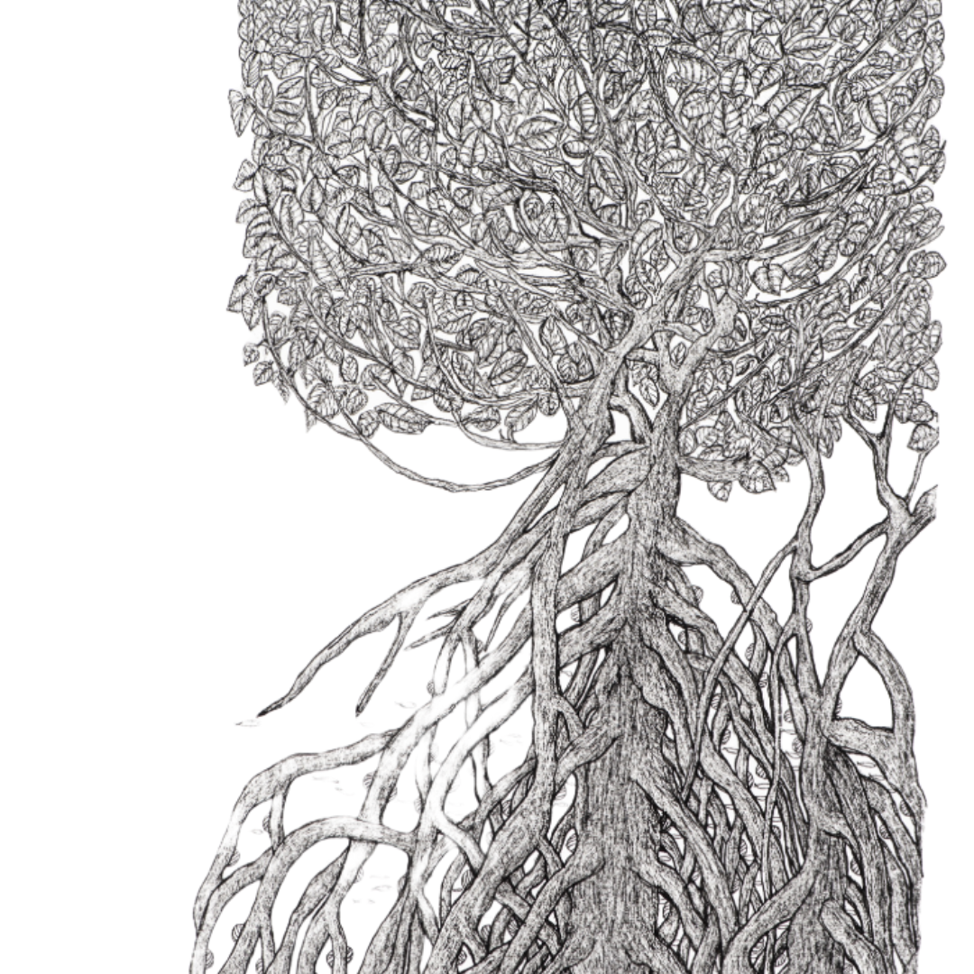 Peter B Morrison | THAG (MANGROVE, HIGH TIDE) | Pen and ink on archival paper