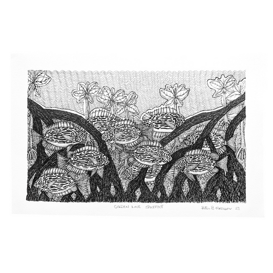 PETER BERTIE MORRISON | 'Golden Line Spine Foot' | Pen + ink drawing