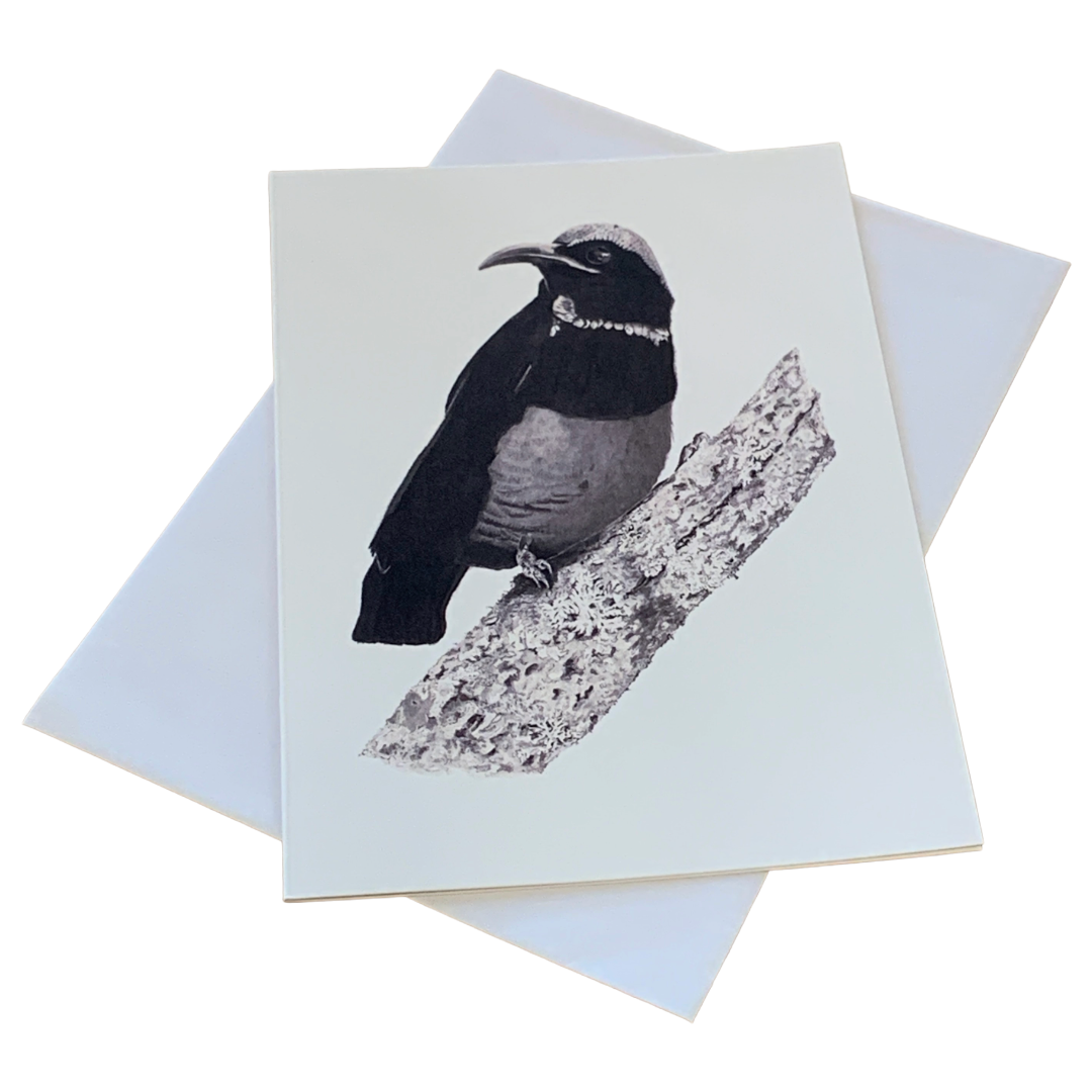 VALERIE KEENAN | ‘Victoria’s Rifle Bird' | Single Greeting Card