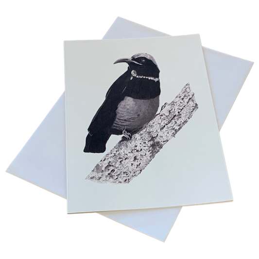 VALERIE KEENAN | ‘Victoria’s Rifle Bird' | Single Greeting Card
