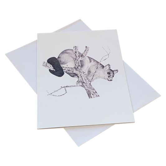 VALERIE KEENAN | ‘Brushtail Possum' | Single Greeting Card