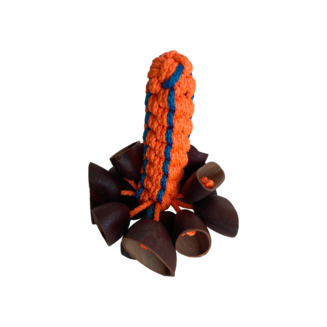 WILLIAM SAVAGE | 'Kulap (Gorr) Medium' | Fluoro orange + blue