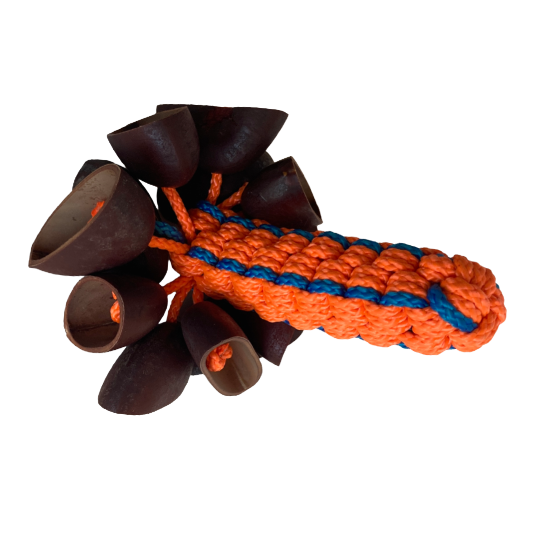 WILLIAM SAVAGE | 'Kulap (Gorr) Medium' | Fluoro orange + blue