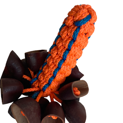 WILLIAM SAVAGE | 'Kulap (Gorr) Medium' | Fluoro orange + blue