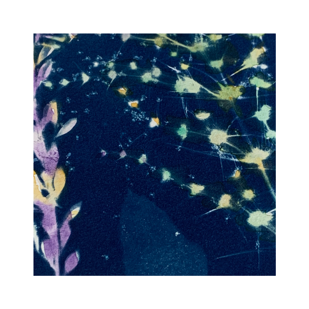 YASUE ASAI | ‘Yellow and Purple Leaf Gift Card’ | Hand-coloured Cyanotype