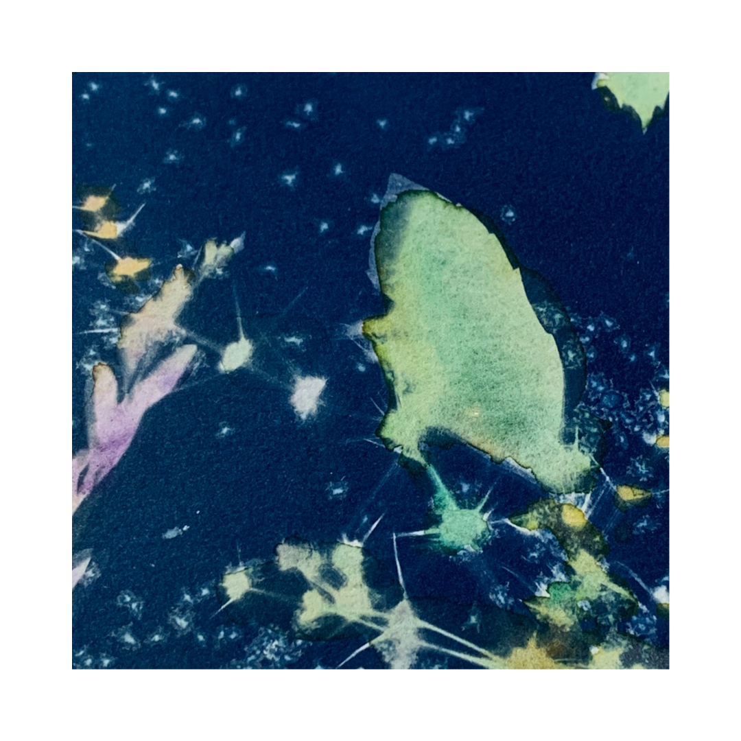 YASUE ASAI | ‘Green Leaf Gift Card’ | Hand-coloured Cyanotype