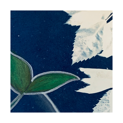 YASUE ASAI | ‘White Leaf with Seed Leaves Gift Card’ | Hand-coloured Cyanotype