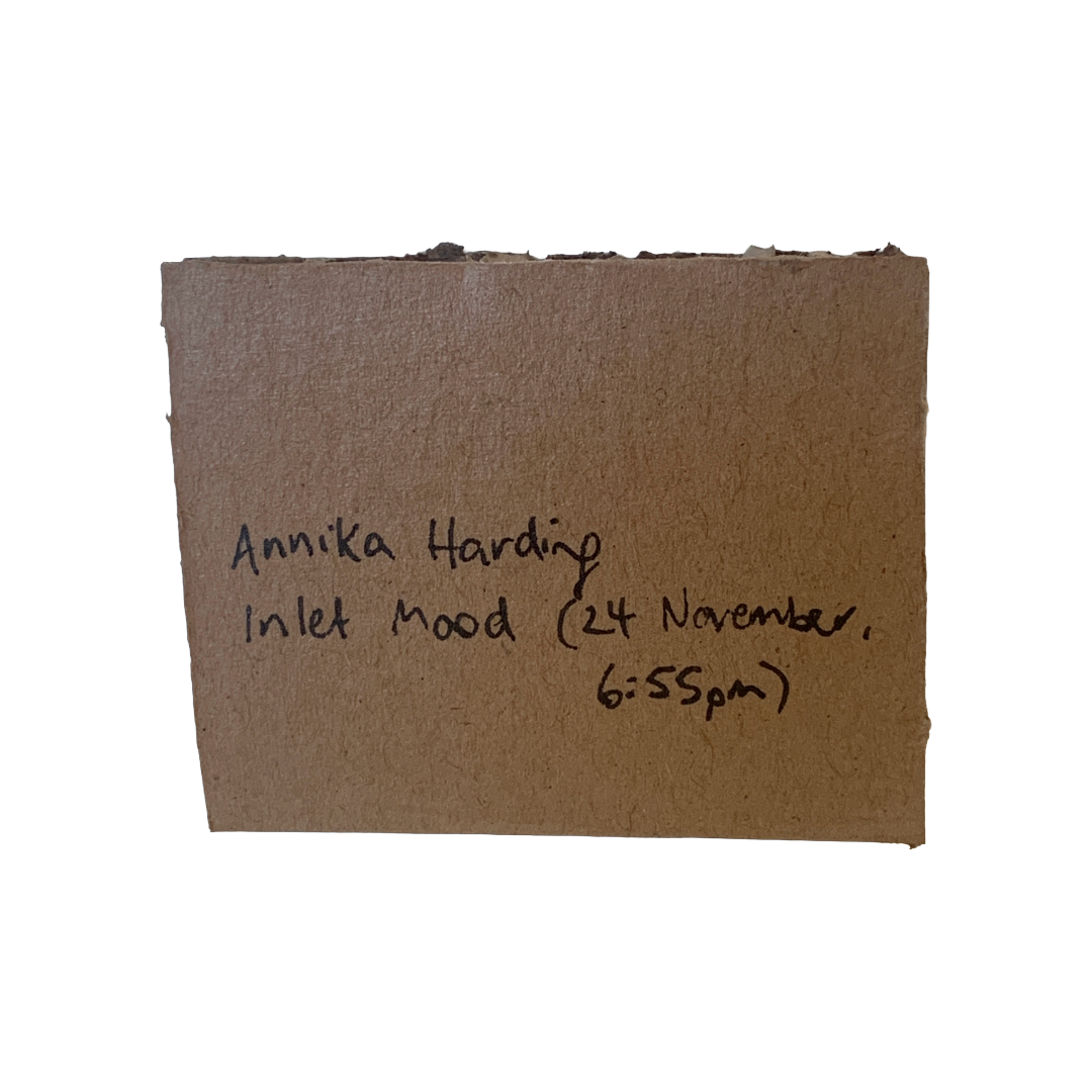 ANNIKA HARDING | ‘Inlet mood (6:55pm 24 November)’ | Acrylic on cardboard
