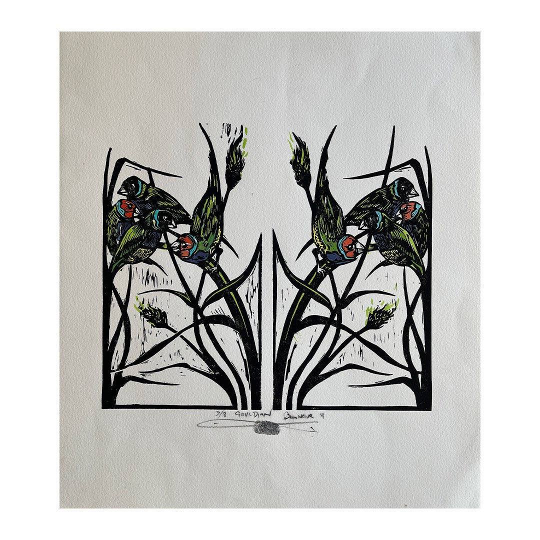 JANE DENNIS | ‘Gouldian Bower 2’ | Hand-coloured Linocut print