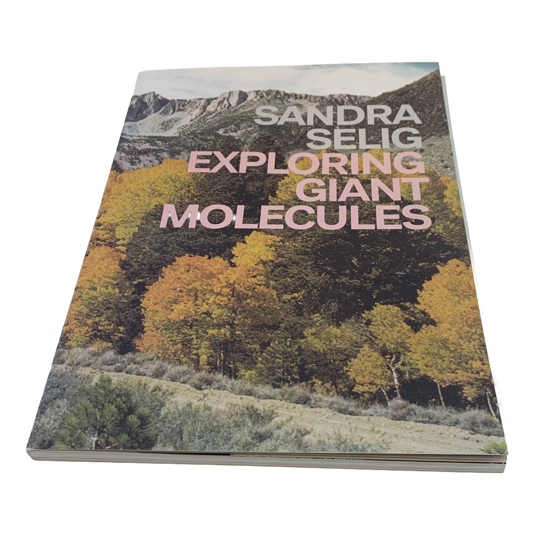 Sandra Selig: Exploring Giant Molecules