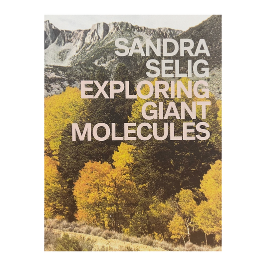 Sandra Selig: Exploring Giant Molecules