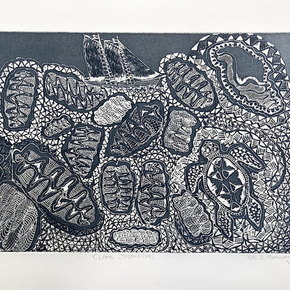PETER MORRISON | 'Clams (Tridacnidae)' Etching
