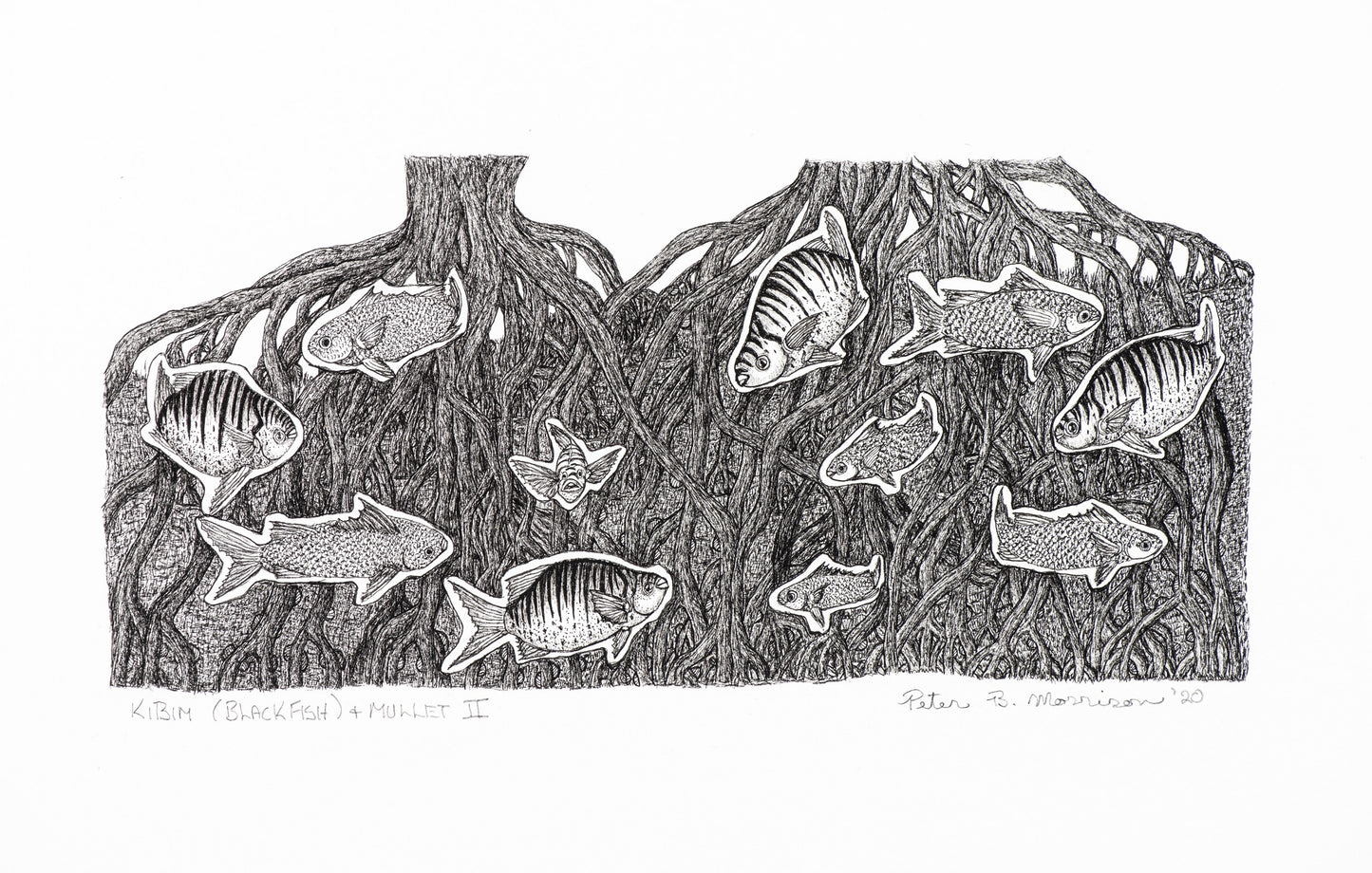 PETER B MORRISON | 'Kibim (Black Fish) & Mullet II' Drawing | Pen and ink on archival paper