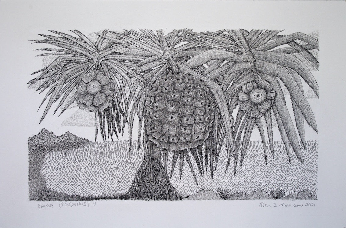 PETER B MORRISON | 'Kausa (Pandanus) IV' Drawing | Pen and ink on archival paper