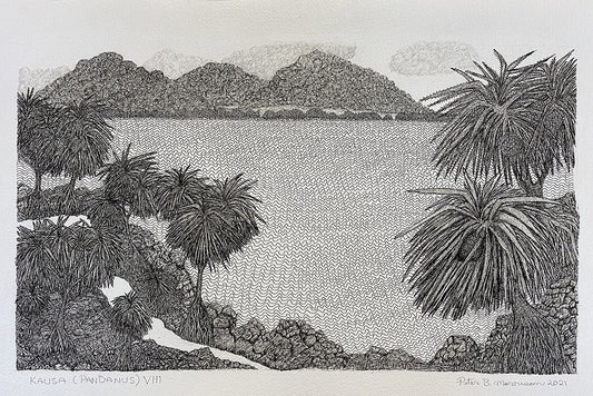 PETER B MORRISON | 'Kausa (Pandanus) VIII' Drawing | Pen and ink on archival paper