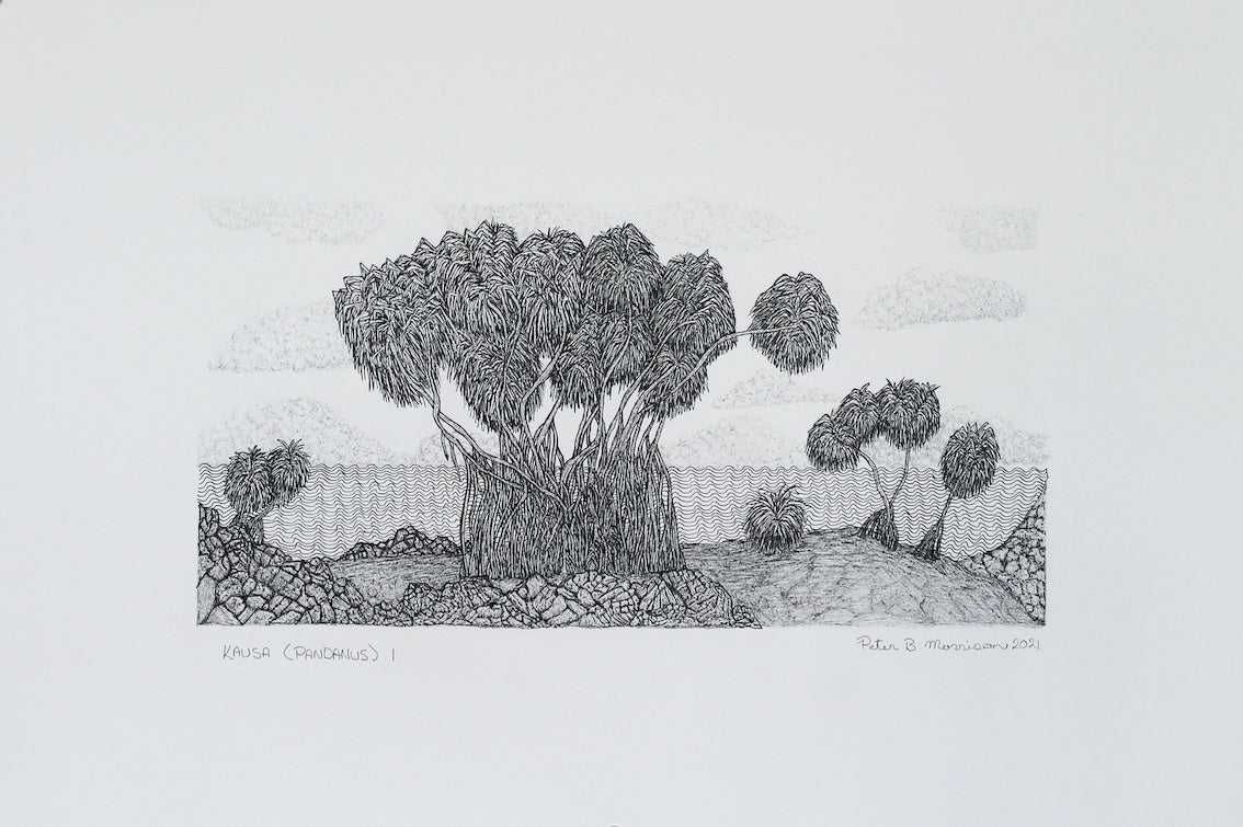 PETER B MORRISON | 'Kausa (Pandanus) I' Drawing | Pen and ink on archival paper