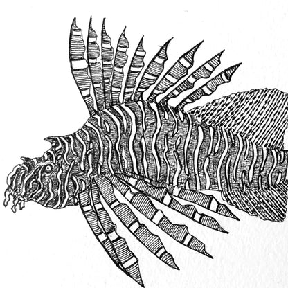 PETER B MORRISON | 'Awgad wapil  (Lion Fish)' Drawing | Pen and ink on archival paper