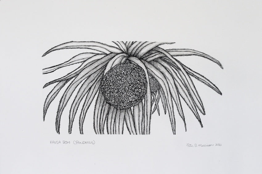 PETER B MORRISON | 'Kausa Bom (Pandanus)' Drawing | Pen and ink on archival paper