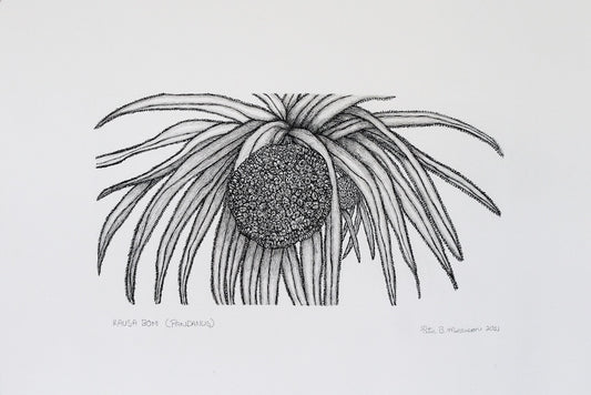 PETER B MORRISON | 'Kausa Bom (Pandanus)' Drawing | Pen and ink on archival paper