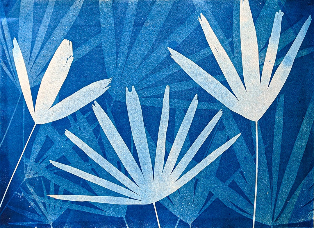 BLUE MUSE | 'Blue Fans' | Print | Cyanotype