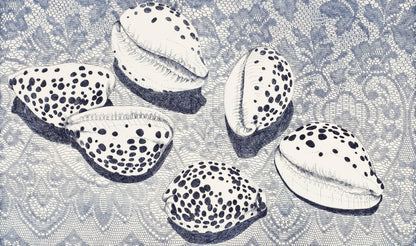BRIAN ROBINSON | 'Cowries in a floral landscape' | Etching