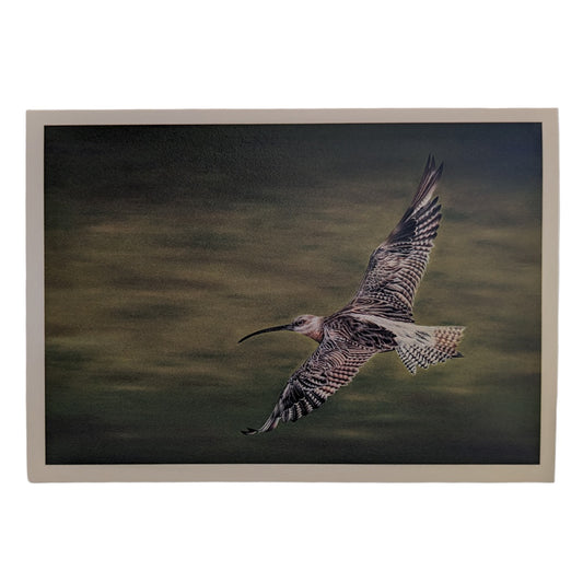 CHARLOTTE MARLOW | 'Curlew Over Balquhandy'| Gift card