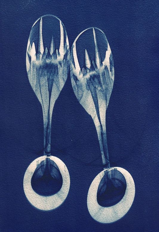 LEANNE HARDY | ‘I am Grateful’ | Framed cyanotype print