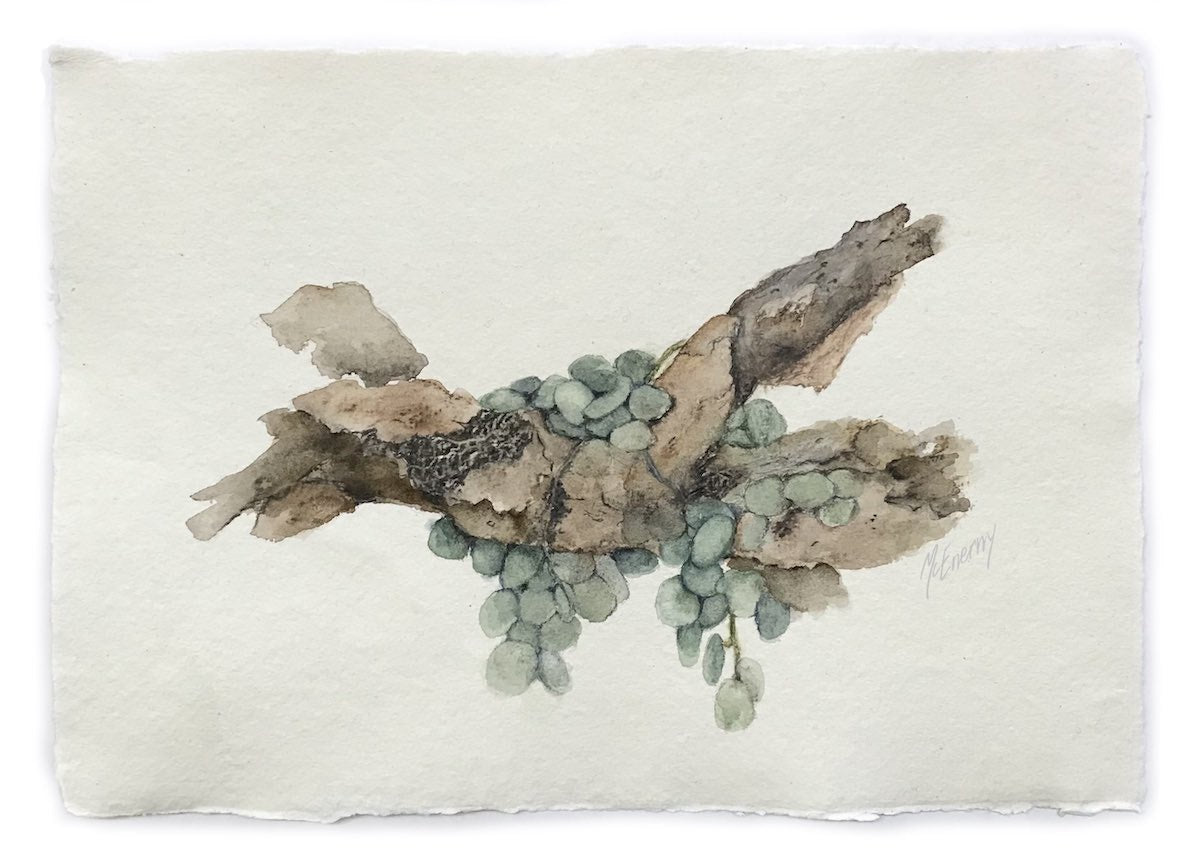 JULIE MCENERNY | 'Little Sticks #56' | Watercolour on paper
