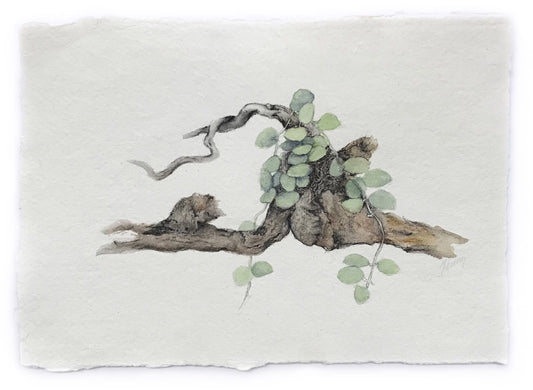 JULIE MCENERNY | 'Little Sticks #58' | Watercolour on paper