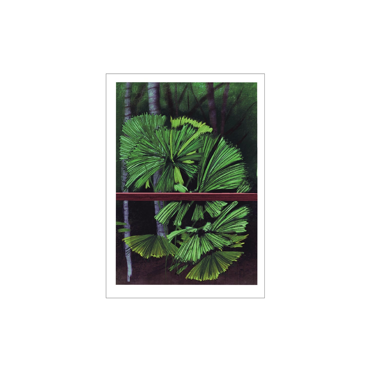 LITTLE GREEN BICYCLE | ‘Licuala Grandis’ Palm Cove Series | Gift Card