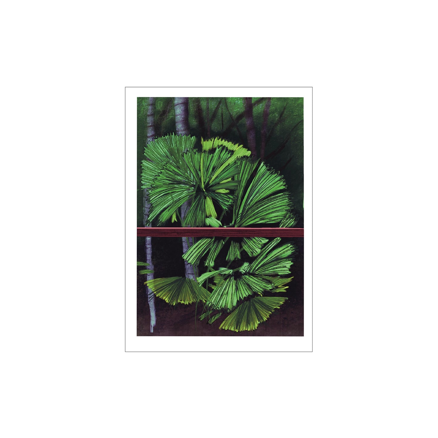 NATALIE LORENTZEN | ‘Licuala Grandis’ Palm Cove Series | Gift Card