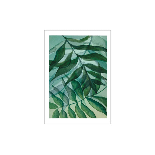 LITTLE GREEN BICYCLE | ‘Waterleaves’ Palm Cove Series | Gift Card
