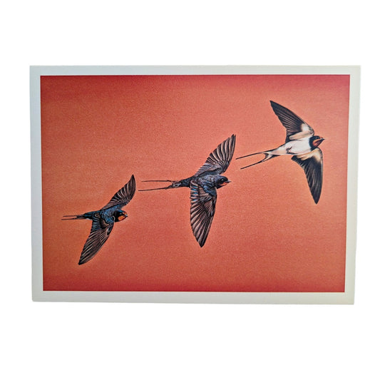 CHARLOTTE MARLOW | 'Memory In Flight'| Gift card