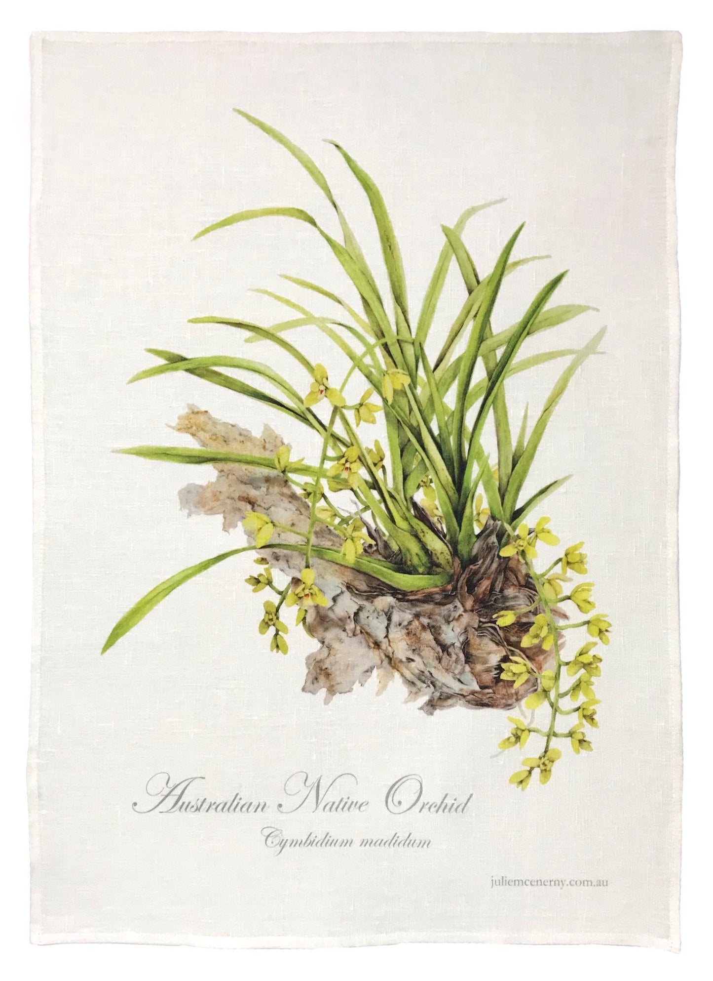 JULIE MCENERNY | ‘Native Orchid – Cymbidium madidum’ | Tea towel / 100% linen
