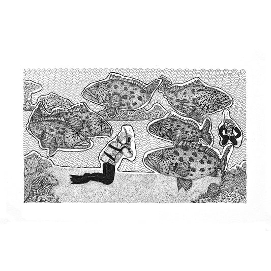 PETER B MORRISON | 'Feeding Potato Cod' | Pen + ink drawing