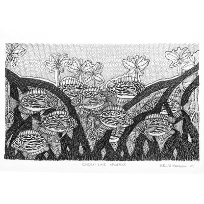 PETER BERTIE MORRISON | 'Golden Line Spine Foot' | Pen + ink drawing