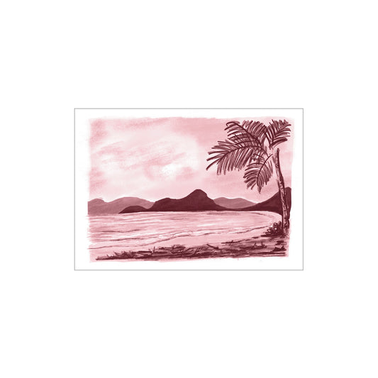 LITTLE GREEN BICYCLE | ‘Pink Beach’ Palm Cove Series | Gift Card