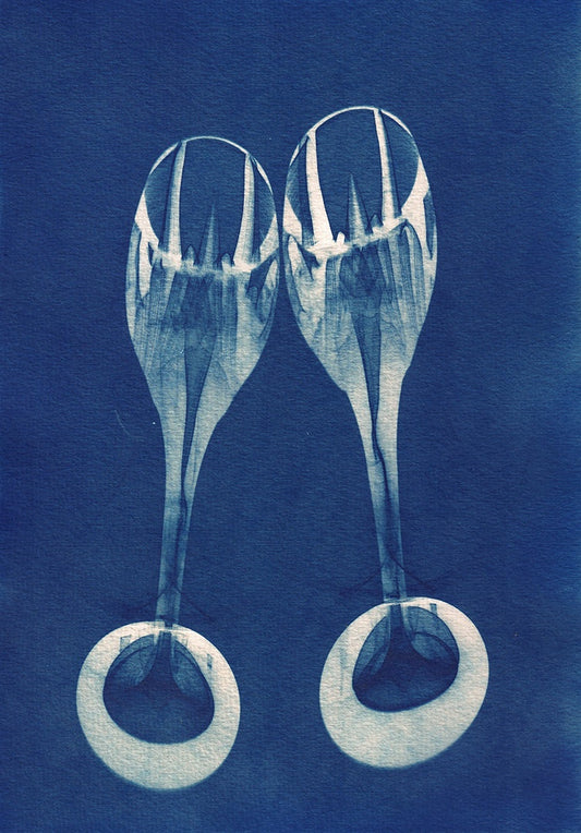 LEANNE HARDY | ‘We are Grateful’ | Framed cyanotype print