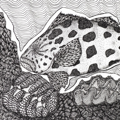 Peter B Morrison 'KUROP II' (POTATO COD)