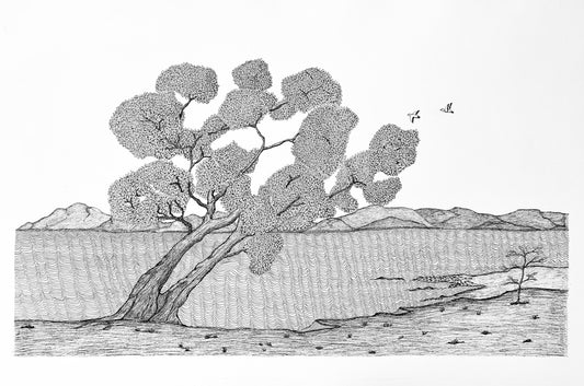 PETER B MORRISON | 'Wongai Tree II' Drawing | Pen and ink on archival paper
