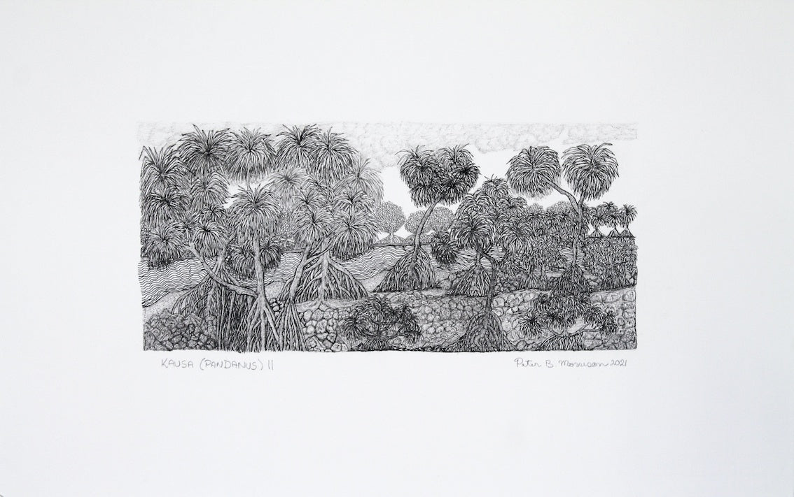 PETER B MORRISON | 'Kausa (Pandanus) II' Drawing | Pen and ink on archival paper