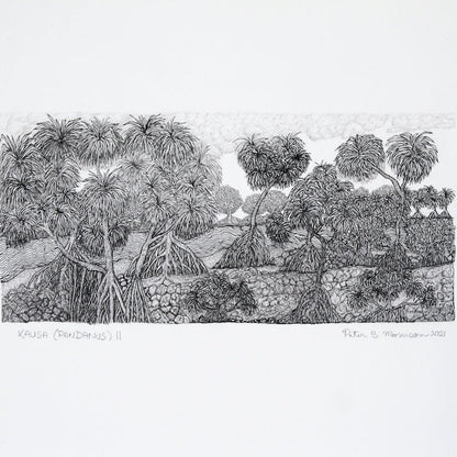 PETER B MORRISON | 'Kausa (Pandanus) II' Drawing | Pen and ink on archival paper