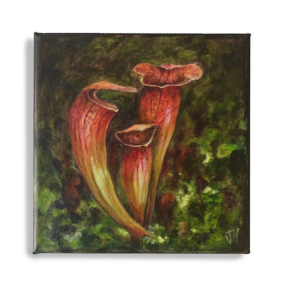 JULIE MCENERNY | ‘Carnivorous #2’ | Acrylic on canvas | 15 x 15 x 1cm